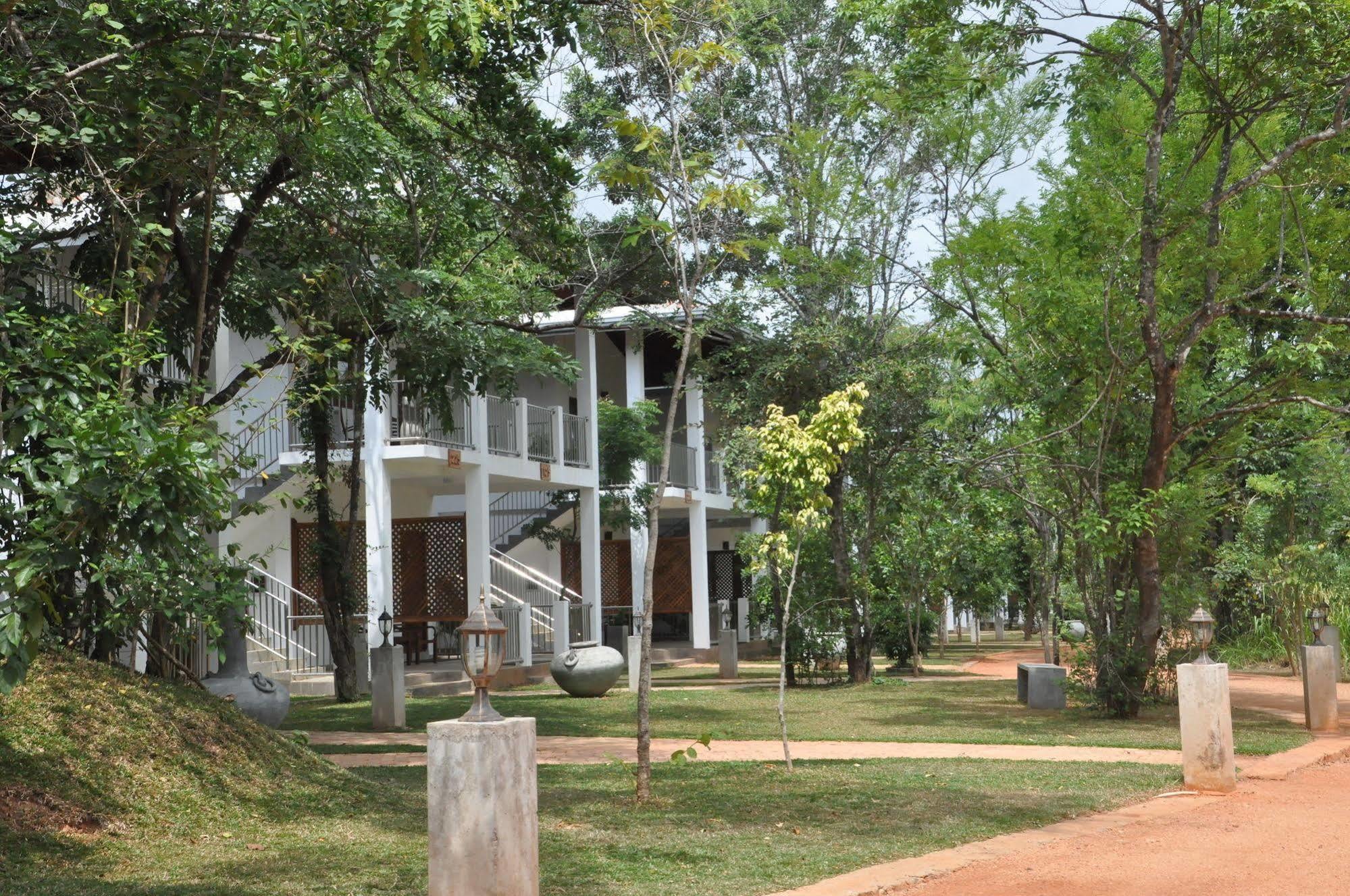 Amaara Forest Hotel Сигирия Экстерьер фото