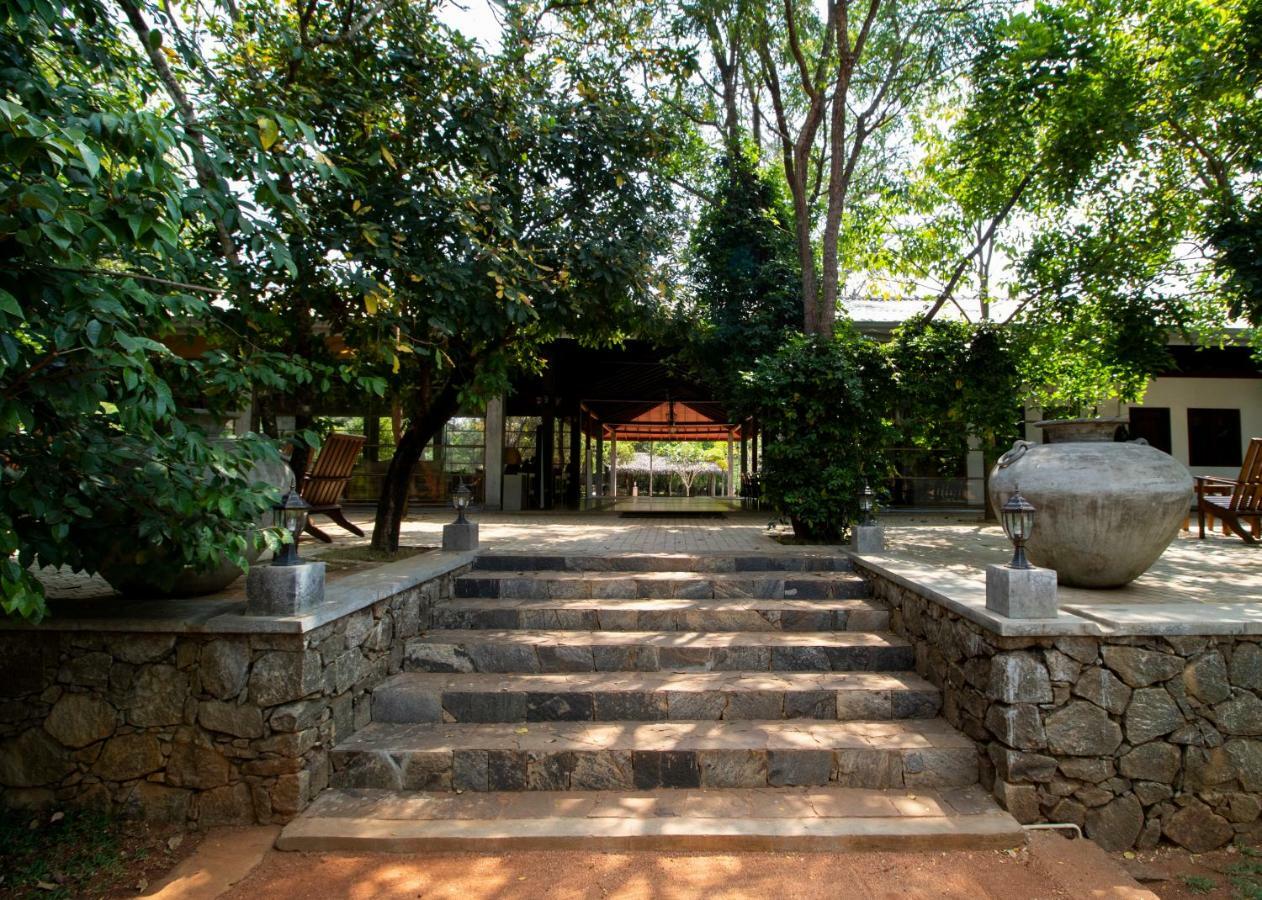 Amaara Forest Hotel Сигирия Экстерьер фото